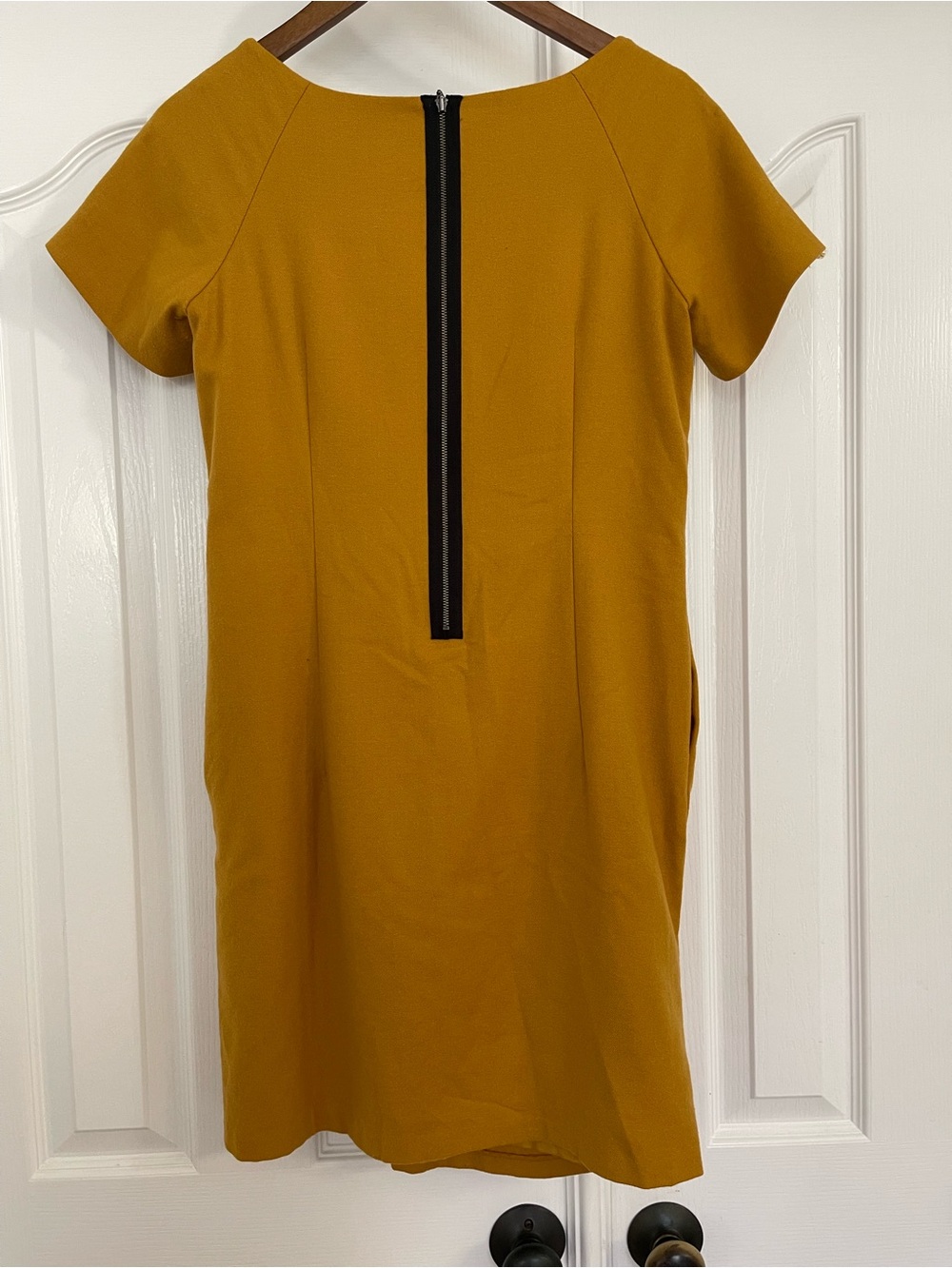 Lanvin en bleu Mustard Short Sleeve mini Dress - Picture 3 of 10